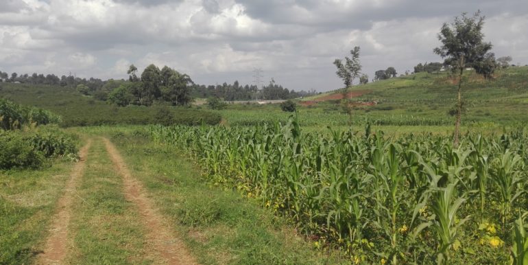 Cianda, Kiambu