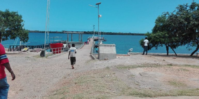 Shimoni 1