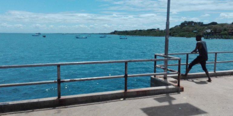 Shimoni 3