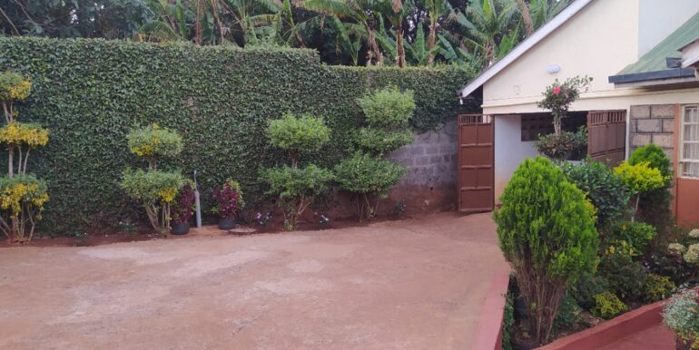 Paved Driveway & Boundary Wall