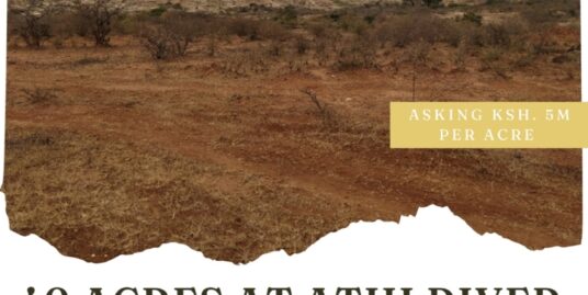 Athi River Scenic 40 Acres for Sale